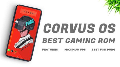 corvus os rolex|Download .